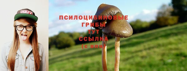 apvp Мегион